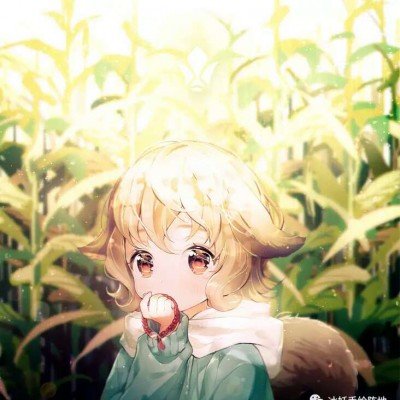 贺娇龙摄影师还没走出来